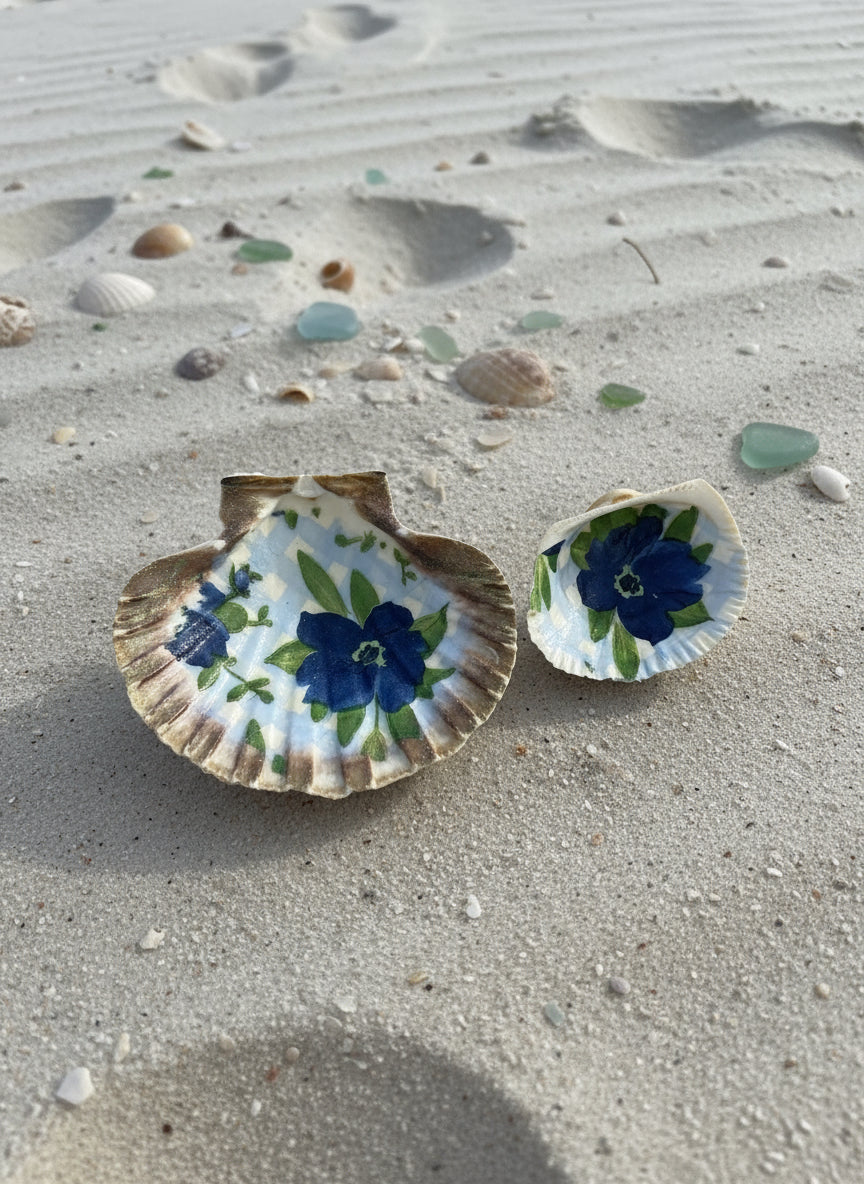 Set of 2 trinket seashell dishes