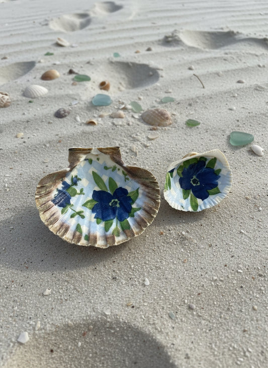 Set of 2 trinket seashell dishes